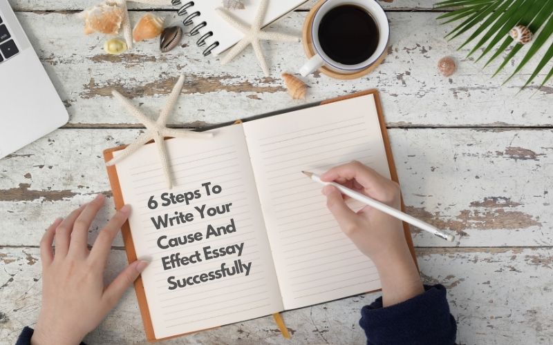 cause and effect essay