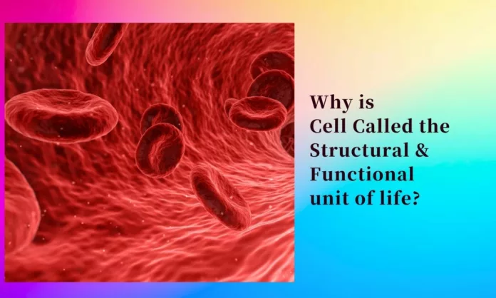 cell is called the structural and functional unit of life