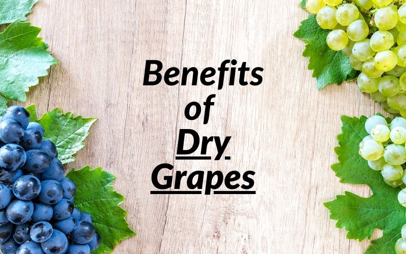 Benefits of Dry Grapes - Our Net Helps Benefits of Dry Grapes - Our Net Helps