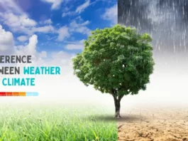difference between Weather and Climate