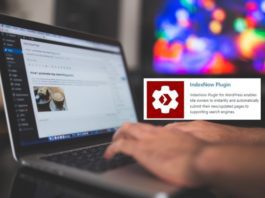 indexnow plugin