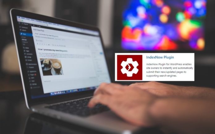 indexnow plugin