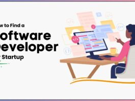 Software Developer