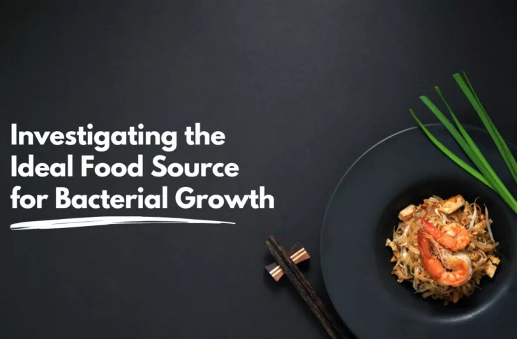 Bacterial Growth