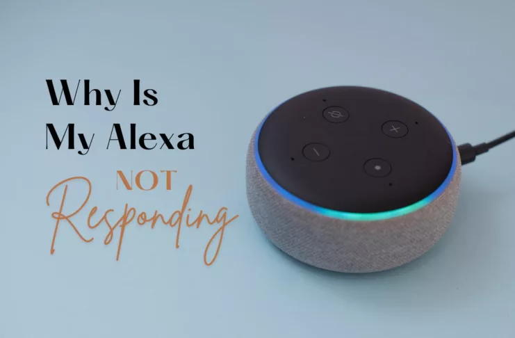Alexa Not Responding