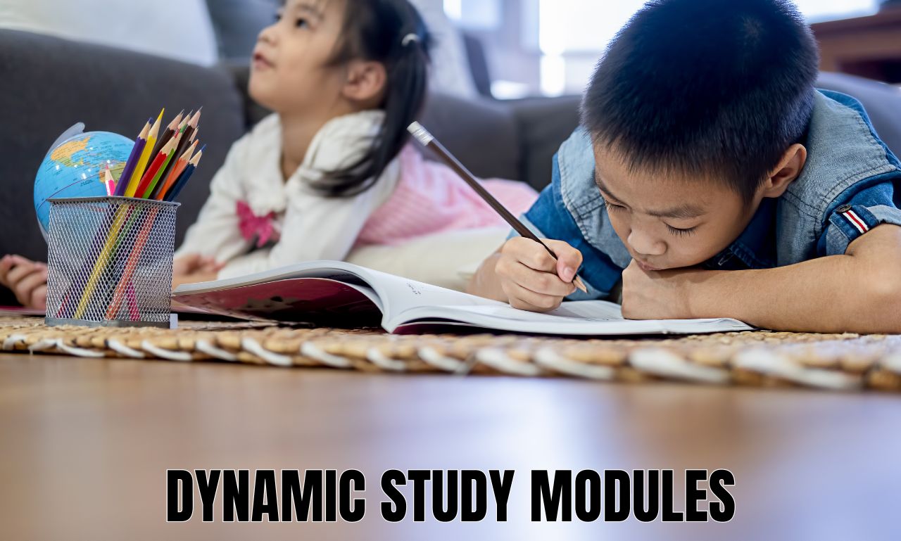 Understanding the Primary Function of Dynamic Study Modules Our Net Helps